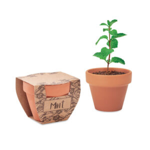 MINT POT terrakota pott piparmündiseemnetega