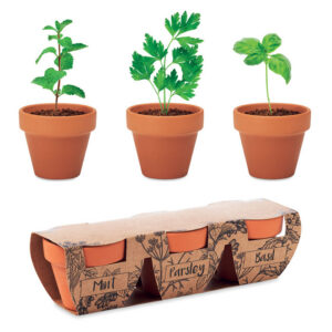 Ürdipottide komplekt FLOWERPOT