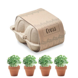 Lilleseemned Cress